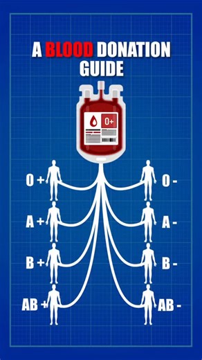 MEDICAL| PHARMACY| NURSING on Instagram: "A Blood Donation Guide"