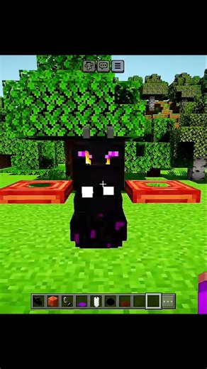 Minecraft tiktok Hacks 🤯#shorts#viral#minecraft#shortsfeed#foryou