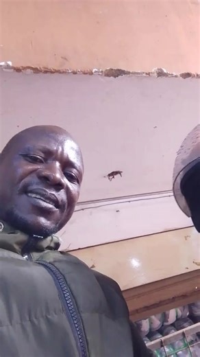 morgan (@morgansmart21)’s videos with original sound - morgan