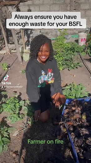 4.2K views · 83 reactions | BSFL .call us for training this weekend 0720488250 | Farmer on Fire | Facebook