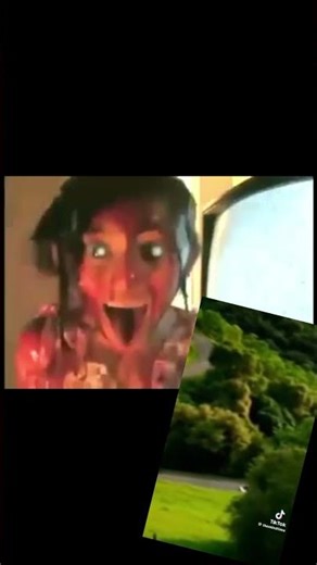 BRAINROT THIS A NO SCENE SCREEN!? #brainrot #brainrotanimals #animation #memes #fpe