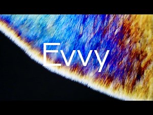 Evvy — Building a new understanding of the female body