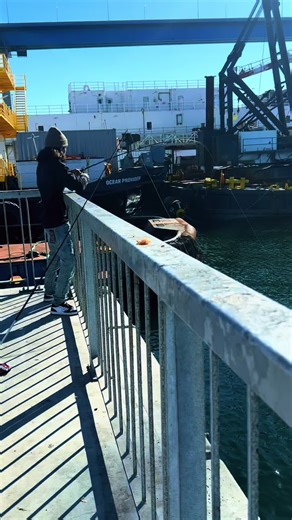 Fishing for Sargo in San Diego