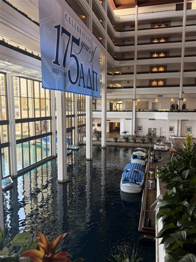 Alpha Delta Pi 175th Grand Convention Haul — Official ADPi Finds