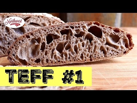 Sourdough Teff Loaf Series - Working with Teff flour Video #1