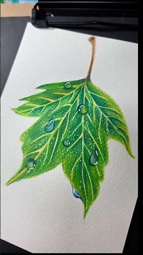 색연필로 그려본 촉촉한 물방울 나뭇잎 🌿💧#색연필일러스트 #나뭇잎그리기 #물방울표현 #손그림