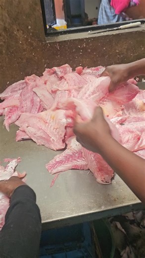 Mature and Tasty Tilapia and Nile Perch Filleting Guide