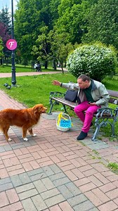 883K views · 10K reactions | How can a dog's simple act inspire us to help others? . . . (For entertainment purposes only. Consult professionals if guidance on activities is presented. No brand affiliation is implied if any are shown. If inspired by true events, creative adaptations may be included. Content may include public footage.) | Fabiosa Daily | Facebook