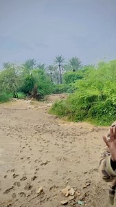 Blochi dance# | Shakeel Bloch