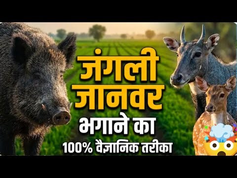 जंगली जानवरों से फसल बचाने का 100 पक्का इलाज Solar Fencing Bio Fencing Nilgai Solution share