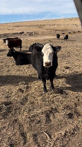 Pay the toll to the troll #fyp #comedy #ranch | Farmer Fran