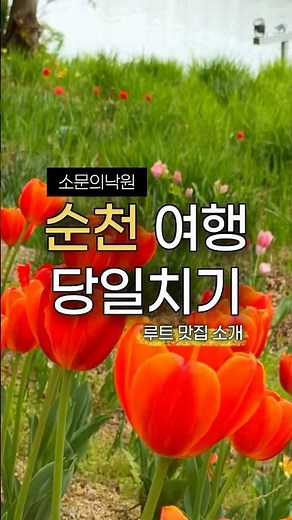 (공유) 순천여행 당일치기 코스 알려드려요 ✨