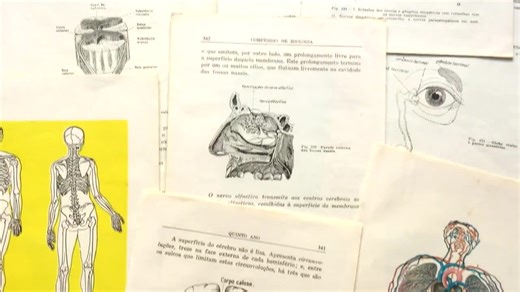 Vintage Anatomy Art Prints, Human Body Illustrations, 1950s Biology Book Pages - Etsy