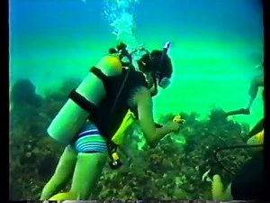 Scuba Diving Vacation Scenes 1990s
