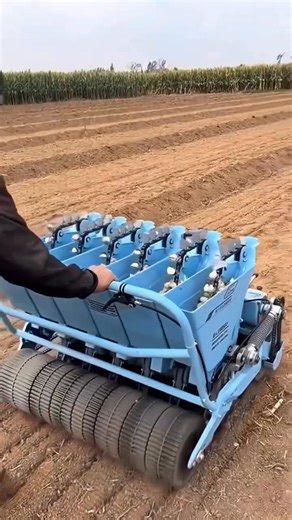 In our old video we posted the big garlic planting machine & here is the hand operative garlic machine for farmers who can’t afford big size. Contact Nos&Christelle Agriculture & place ur order… #HandGarlicPlanter #GarlicPlantingMachine #GarlicFarming #GarlicMechanization #ModernFarming #SmartAgriculture #AgricultureInnovation #FarmEquipment #GarlicProduction #AgriTechnology #GarlicFarmingTools #FarmMechanization #AgriBusiness #GarlicGrowers #GarlicMachine #HandPlanter #SeedPlanter #GarlicSeeds 