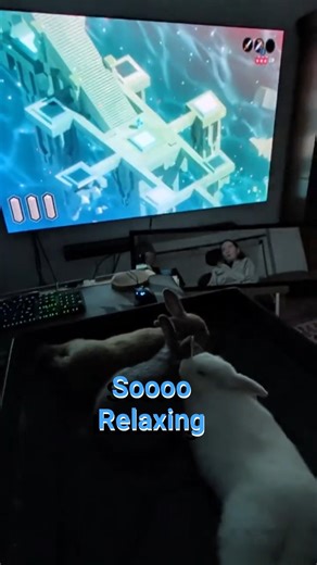 Tunic game music relaxes me and the bunny rabbits too