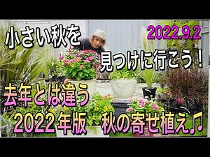 [Planting] Create a 2022 planting using your favorite autumn flowers! Discover a new you with thi...