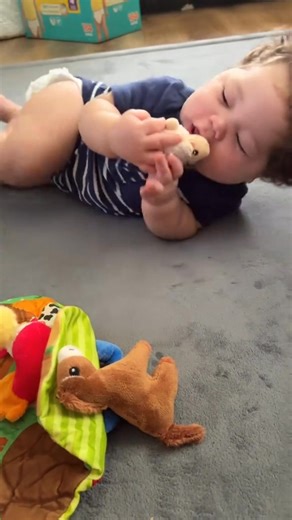 Ready for some farm-tastic fun? 🌟 Meet our Baby Surprise Barn Toy - the most adorable plush barn your little farmer will love! 🚜 | Helen B. Jackson