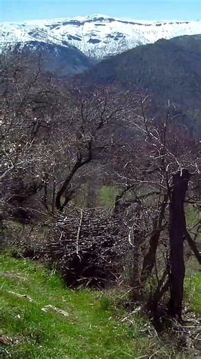 POV: Exploring the wild mountain trails 🏔️🎒