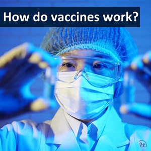 EXPLAINED: How vaccines work Vaccines stimulate the immune system to respond by producing antibodies. If we get infected, the immune system then remembers the disease and can make antibodies quickly. Find out more ➡️ https://vk.ovg.ox.ac.uk/vk/how-do-vaccines-work #WorldImmunisationWeek | University of Oxford