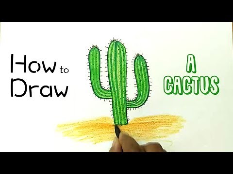 How to Draw a Cactus