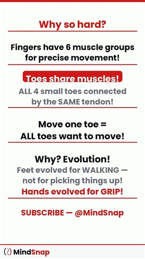 The Toe Challenge: Only 1% People Can Do This! 🦶😲