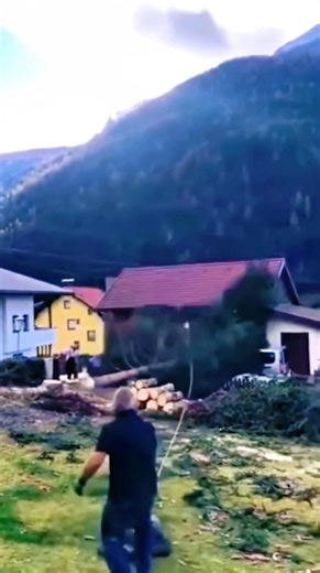 6.2K views · 31 reactions | Capture the moment of logging mistakes #satisfying #tree #giant #asmr #oddlysatisfying #fyp #usa | Wood Of Branch | Facebook