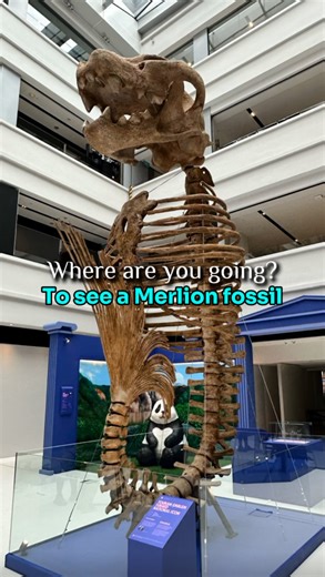 Cheekiemonkies on Instagram: "[FIRST LOOK!] Singapore Design Week 2025 is BACKKK and the line-up is WILD. So many activities (most are FREE! 👀) that you’ll legit have to choose — unless you can stop time. Across 4 districts over 11 days, you can: - visit an unnnatural “museum” to see a huge Merlion fossil and there’s even a Crab Condo (who knew crustaceans can BTO too). - gawk at sausages of the future — from otak to… guava, rambutan & banana. Yes, really. And here’s a TIP: there will only be O