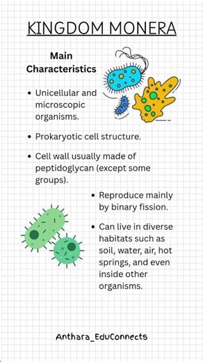 General Characteristics of Kingdom Monera | ‪@Anthara_EduConnects‬