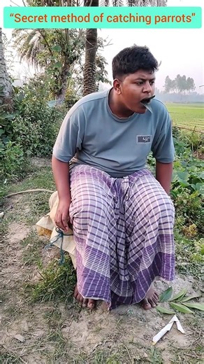 “Secret method of catching parrots" #comedy #funny #birds #villagelife #nature