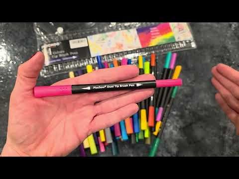 My NEW Favorite Dual Tip Brush Pens Review! 🎨🖊️ (Under $20!)