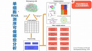 单细胞RNA测序(scRNA-seq)可以做哪些类型的分析呢？