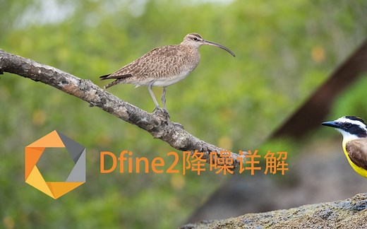 Nik插件Dfine2降噪详解