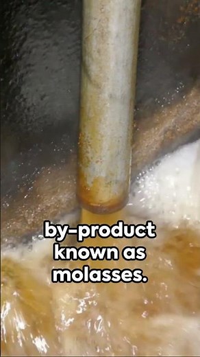 How Rum is Made