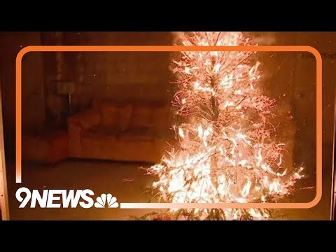 Dried-out Christmas trees pose fire risk