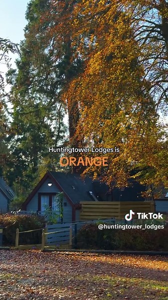 Bring Back Autumn Trends in Scotland's Lodges