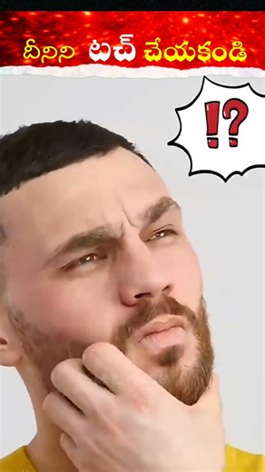 Ribbon Worm ని టచ్ చేయకండి!Do NOT Touch|Ribbon Worm Secret Power| Ocean creature|mhlfacts