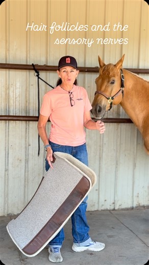 2K reactions · 37 comments | ✅Sensory Nerve Endings: Hair follicles...