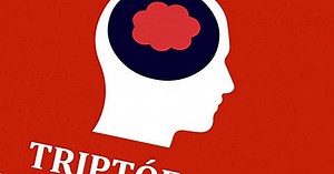 Tryptophan: characteristics and functions of this amino acid - yes, therapy helps!