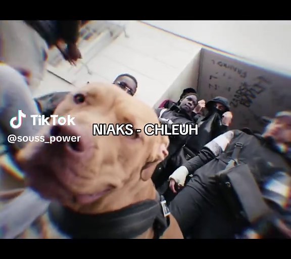 El Soussi sur TikTok