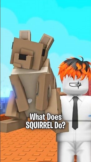 What does SQUIRREL do in Grow a Garden?