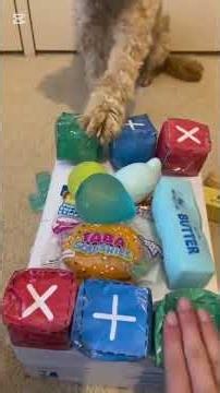 fidget trading with my dog 🐶💙 #fidgettrading #dog #squishy #viral #fyp
