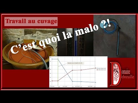 Fermentation malo-lactique / FML / malo