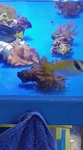 Hungry happy fish | Marine Evolution | Facebook