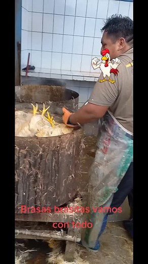 Chickens Plucking Process: A Behind-the-Scenes Look