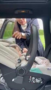 City Loop Peg travel system