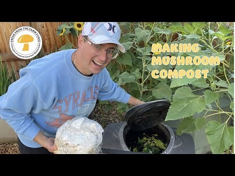 making mushroom compost: what to do with spent substrate on a mushroom farm