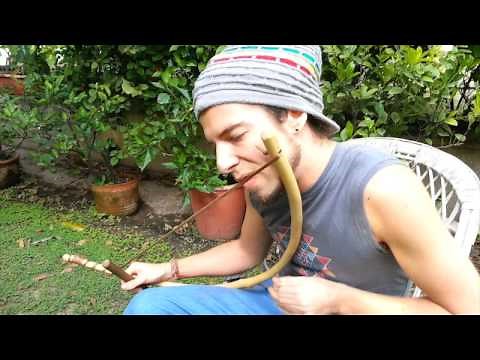 Mongongo vibes : traditional mouthbow music of Gabon