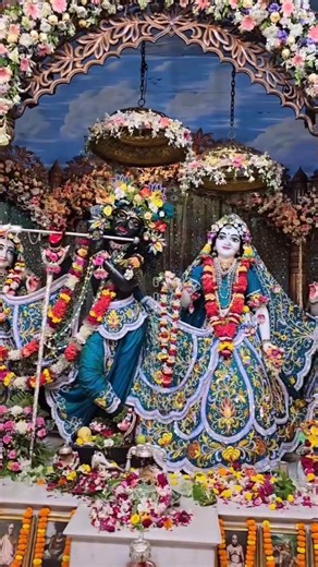 #vrindavan #radharani #radhakrishna #shorts #shortsvideo #trendingbhajan #DivineVibeShyamBhajan