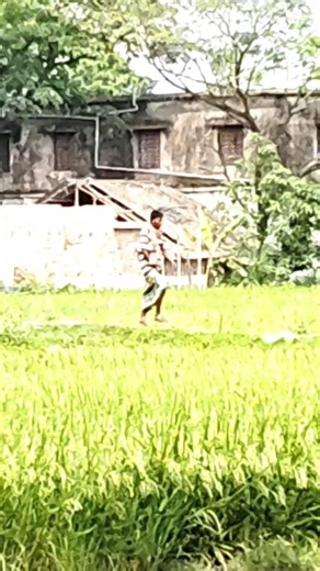 vivo v50 flashlight color change